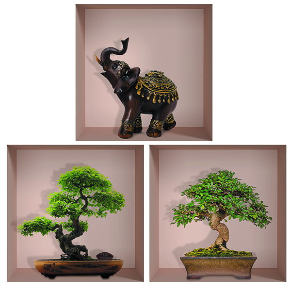 bonsai si statueta iluzie 40 x 40 cm