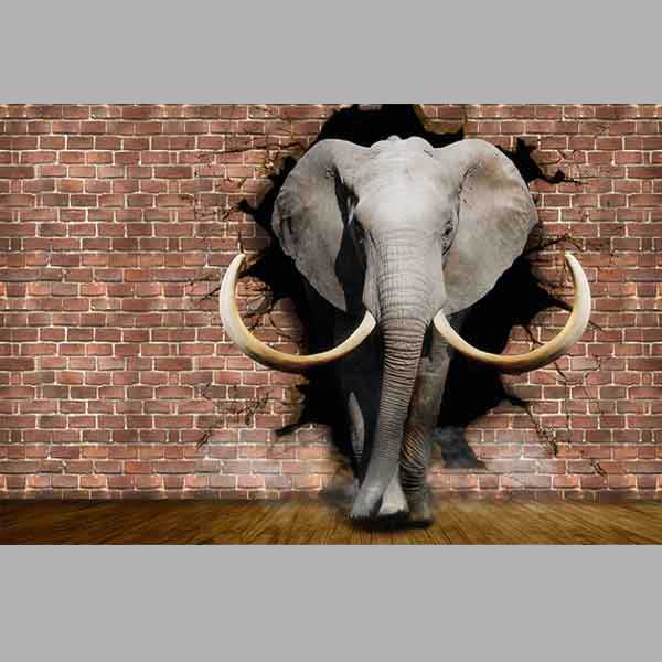 Fototapet Elefant zid caramida