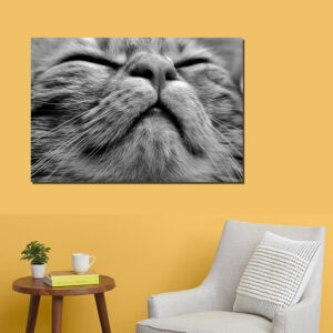 tablou decorativ pisica