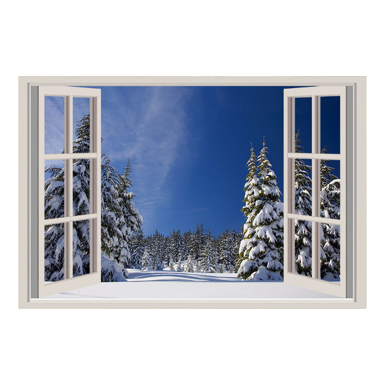 Autocolant fereastra 3d brazi zapada iarna