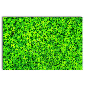Tablou Trifoi Verde